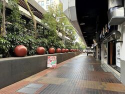 Cuppage Plaza (D9), Shop House #577047091